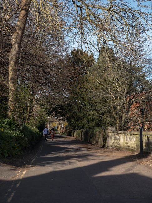 A narrow residential street with a paved pathway, lined by a stone wall on the right and dense trees with bare branches on both sides, suggesting late autumn or early spring. The sky is clear with no visible clouds, and sunlight casts shadows across the pavement. In the background, three people are walking away from the camera; one appears to be holding a bag or an object. The street is part of a quiet neighbourhood, which could be part of a typical house removal route in Cranham, as referenced on the Man with Van Cranham website, providing context for home relocations or furniture transport services. This scene captures the tranquil environment often encountered during moving processes in residential areas close to St Mary's Lane.
